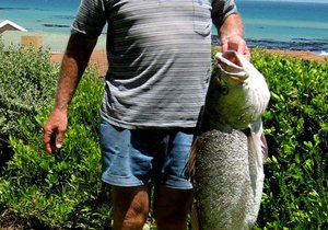 Kabeljou kaalhand gevang